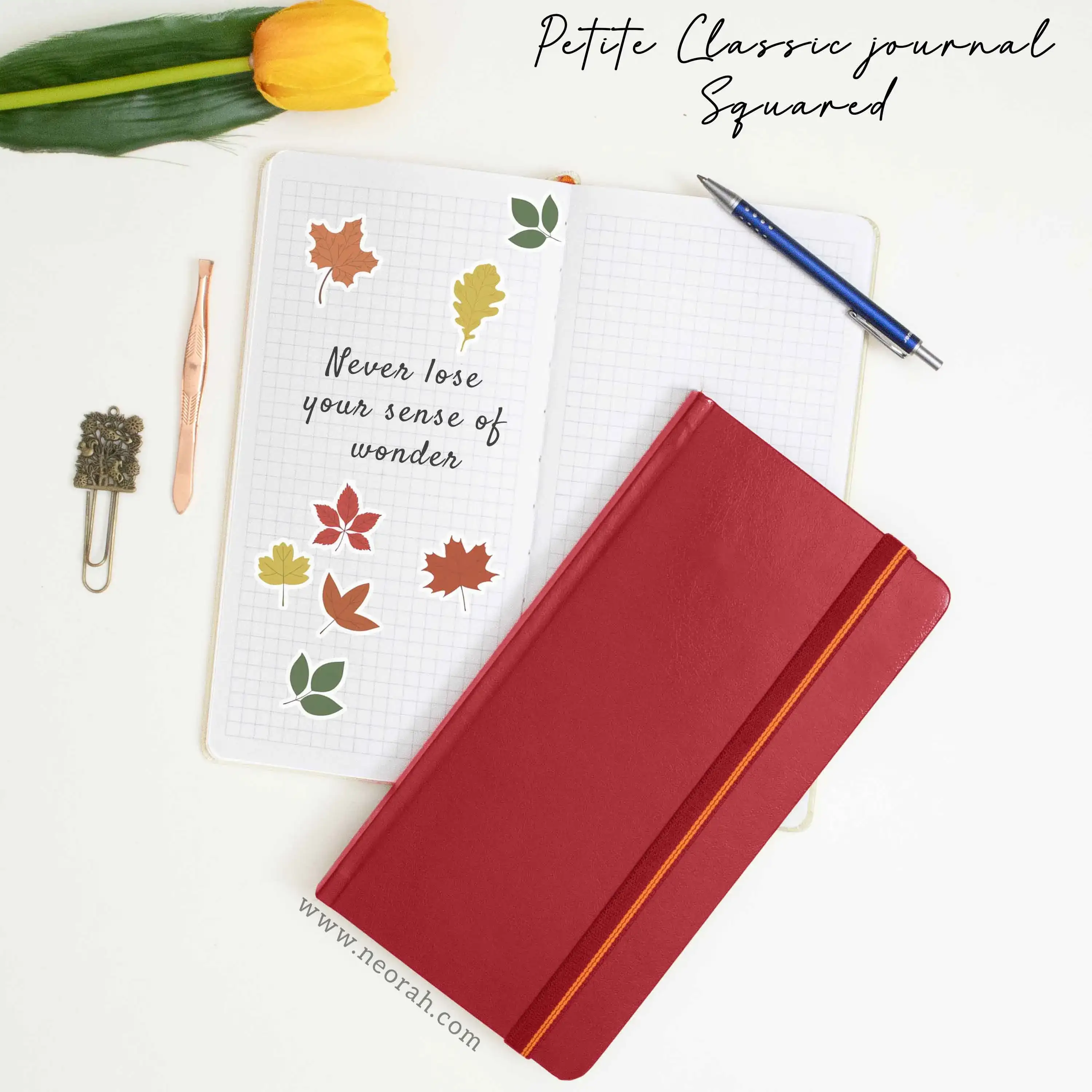 PETITE - CLASSIC JOURNAL NOTEBOOK - HARDCOVER - Image 125